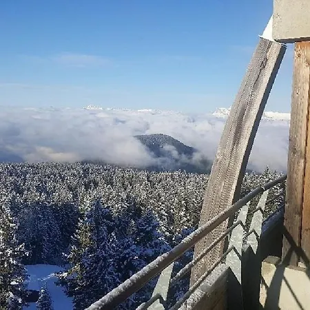 Apartment L'ecrin Des Neiges, 3 Etoiles, Pour 4 A 6 Personnes